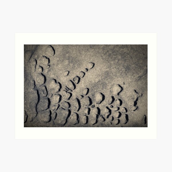 Secret Bones Art Print