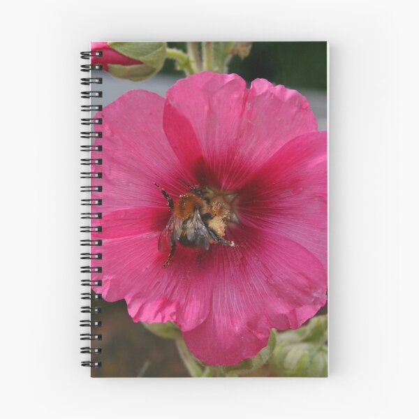 Item preview, Collection Point Bee designed and sold by RedHillDigital.