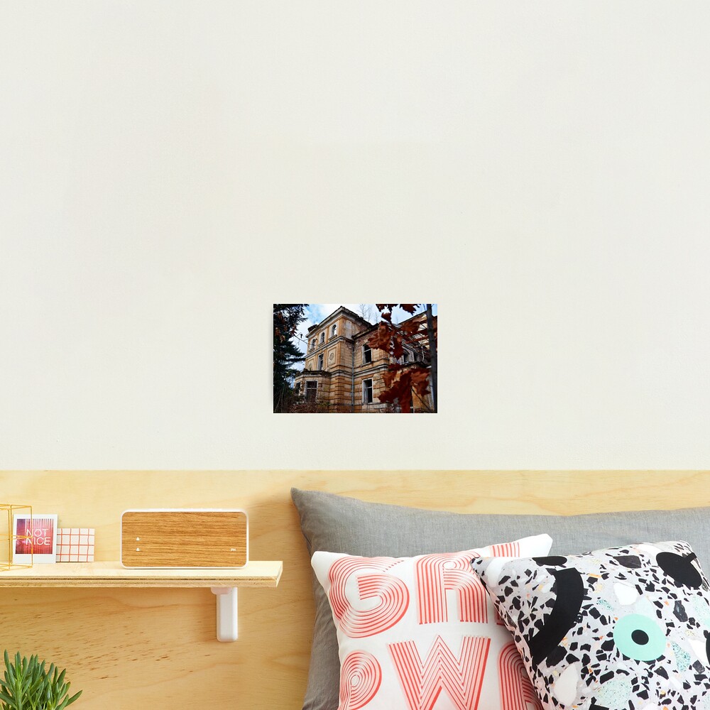Asylum Photographic Print