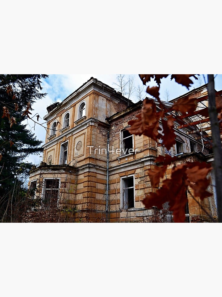 Asylum by Trin4ever