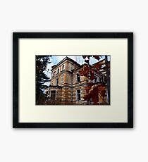 Asylum Framed Print