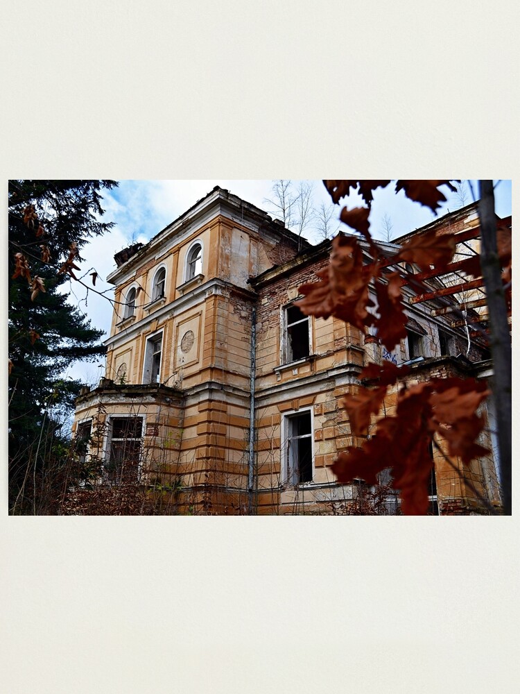 Alternate view of Asylum Photographic Print