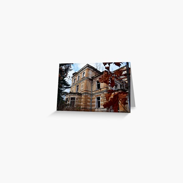 Asylum Greeting Card
