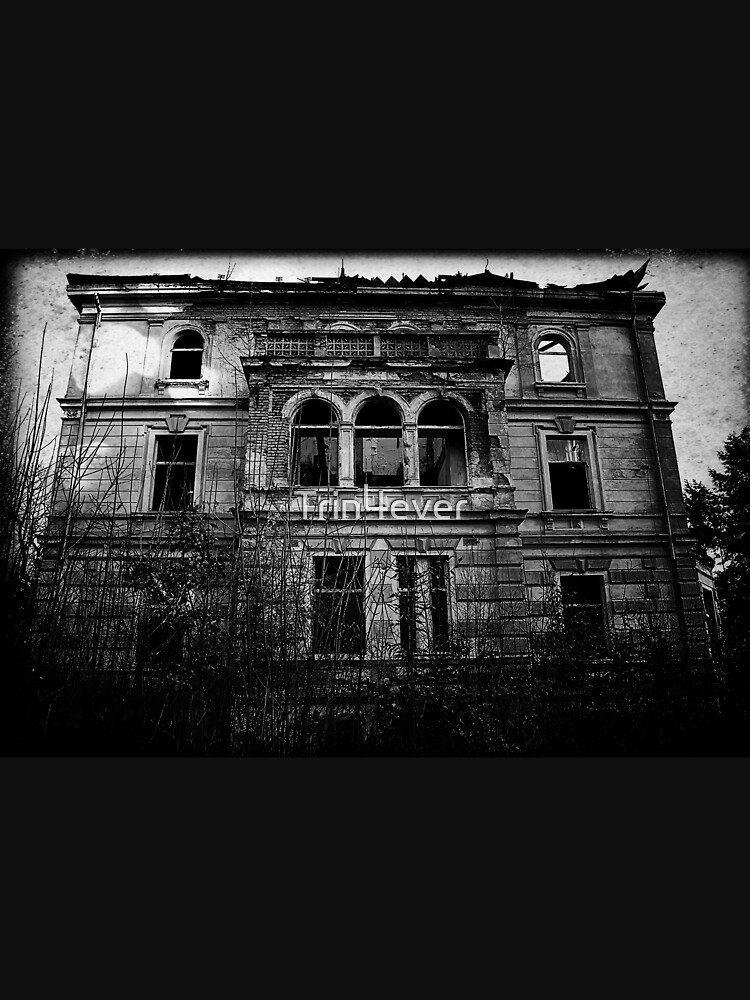 Asylum -bw by Trin4ever