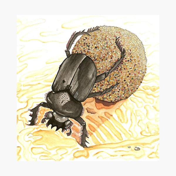 Item preview, Dung Beetle designed and sold by Stephanie Wilker.