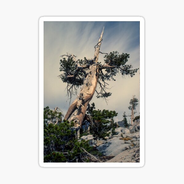 Desolation Wilderness, Eldorado National Forest, CA Sticker