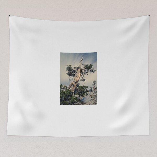 Item preview, Desolation Wilderness, Eldorado National Forest, CA designed and sold by NormanPrince.