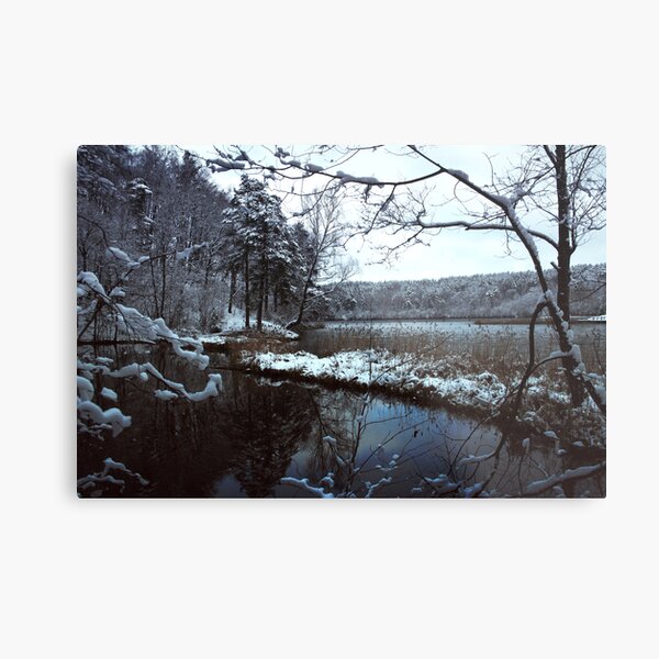 The first snow in the Green Lake Metal Print
