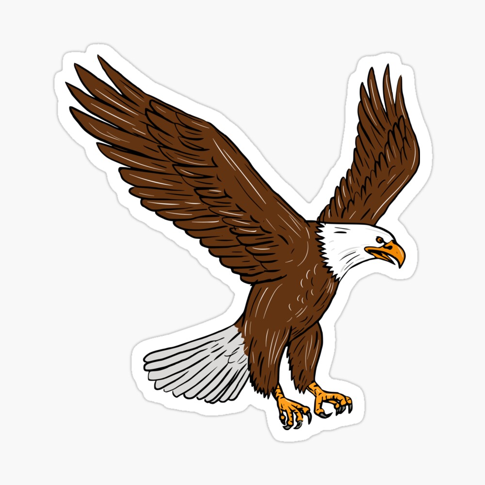 Amazon.com: Bald Eagle Drawing, Hand-drawn Eagle in Colored Pencil :  Handmade Products