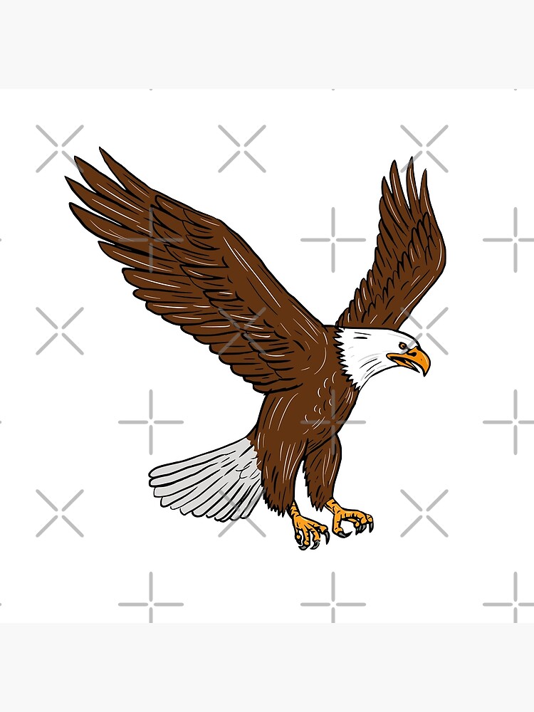 Premium Vector | Coloring page outline of cute eagle black and white  animals cartoon illustration