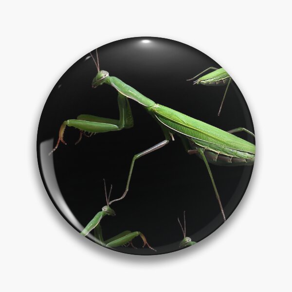 Item preview, Praying Mantis Bug Insect Entomology designed and sold by KDowlatabadi.