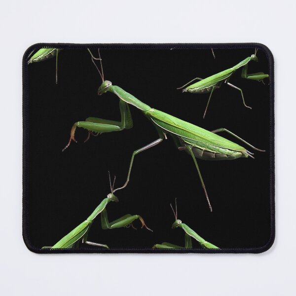 Item preview, Praying Mantis Bug Insect Entomology designed and sold by KDowlatabadi.