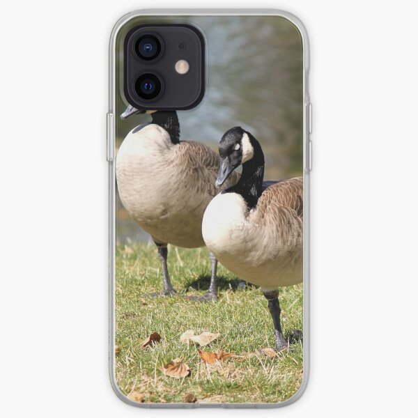 Canada Geese iPhone Soft Case