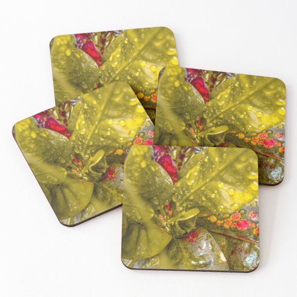 Item preview, croton leafs designed and sold by Cheni-Yathri.