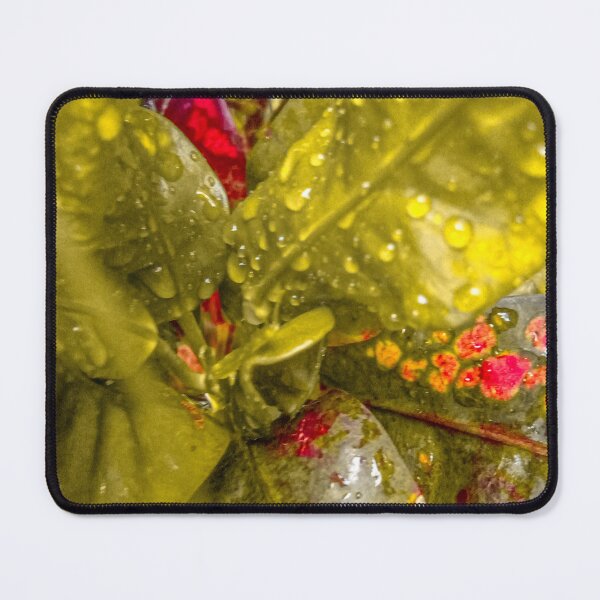 Item preview, croton leafs designed and sold by Cheni-Yathri.