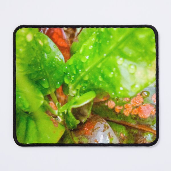 Item preview, croton leafs designed and sold by Cheni-Yathri.