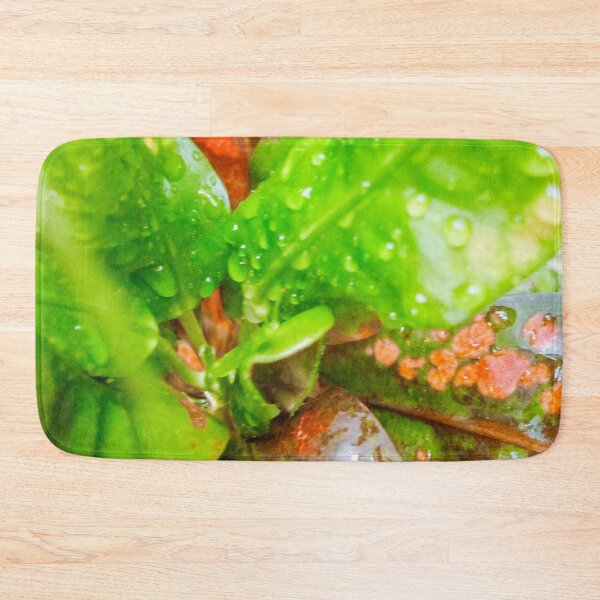 Item preview, croton leafs designed and sold by Cheni-Yathri.