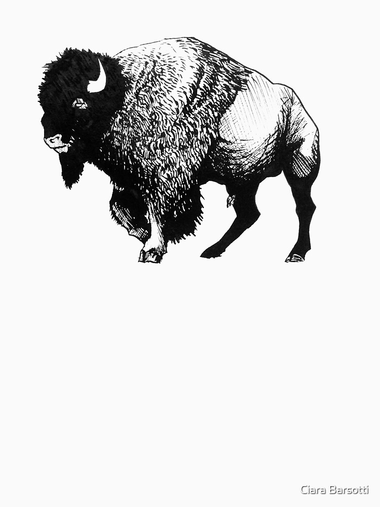 Buffalo Ink Bison Drawing by Ciarabarsotti