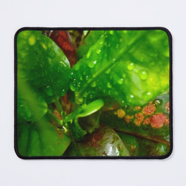 Item preview, croton leafs designed and sold by Cheni-Yathri.