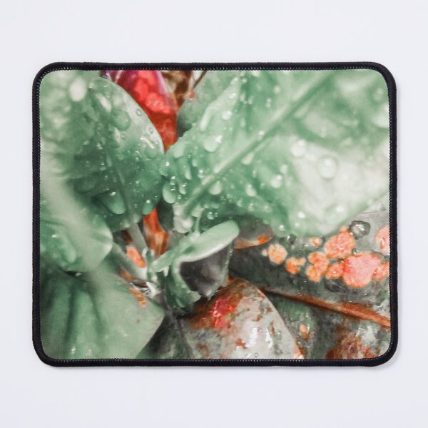 Item preview, croton leafs designed and sold by Cheni-Yathri.