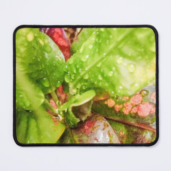 Item preview, croton leafs designed and sold by Cheni-Yathri.