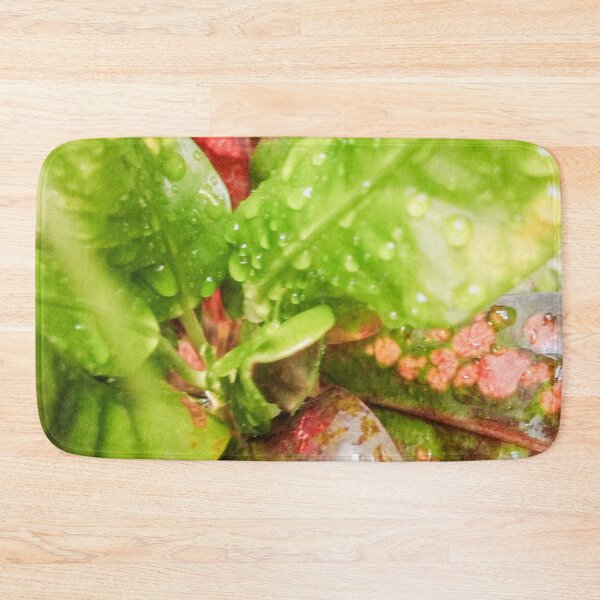 Item preview, croton leafs designed and sold by Cheni-Yathri.