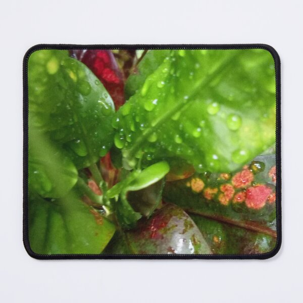 Item preview, croton leaves designed and sold by Cheni-Yathri.