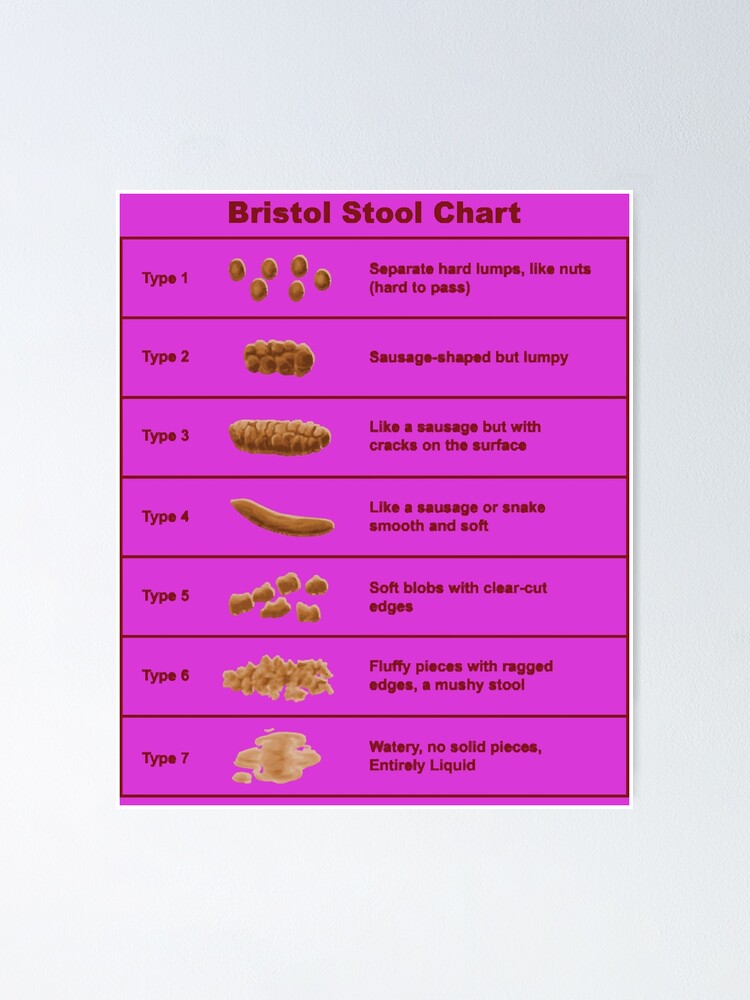 "Bristol Stool Chart Scale" Poster for Sale by AlexMooren | Redbubble