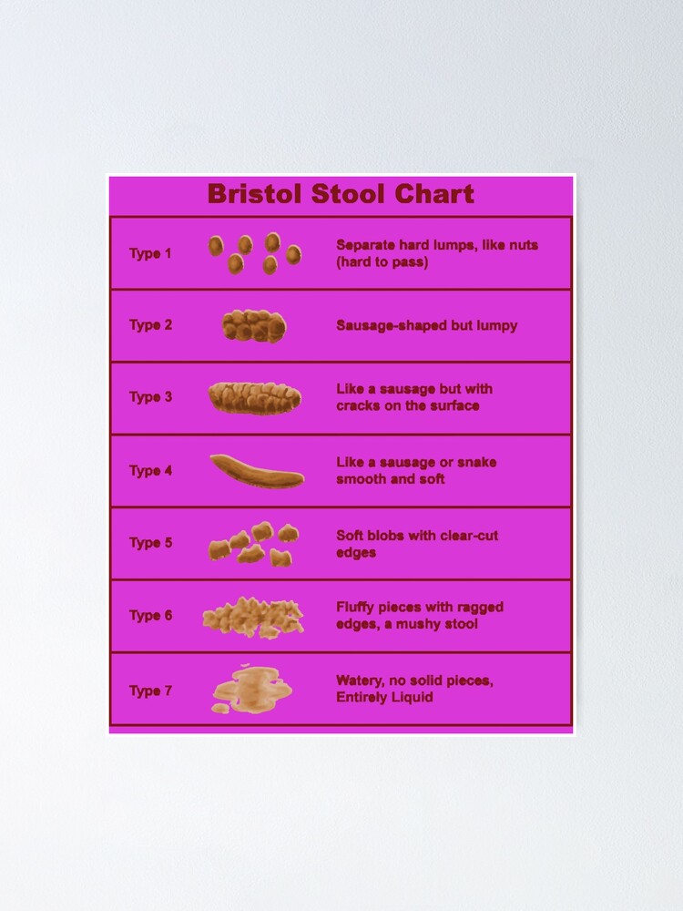 Bristol Stool Chart Scale Poster By Alexmooren Redbubble