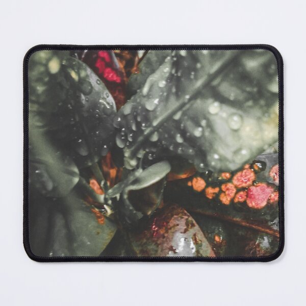 Item preview, croton leaves designed and sold by Cheni-Yathri.