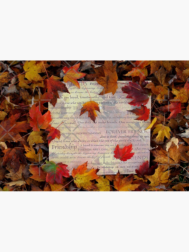 Thumbnail 2 of 2, Postcard, Friendship designed and sold by MaluC.