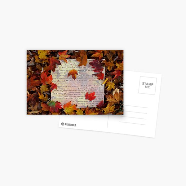 Friendship Postcard
