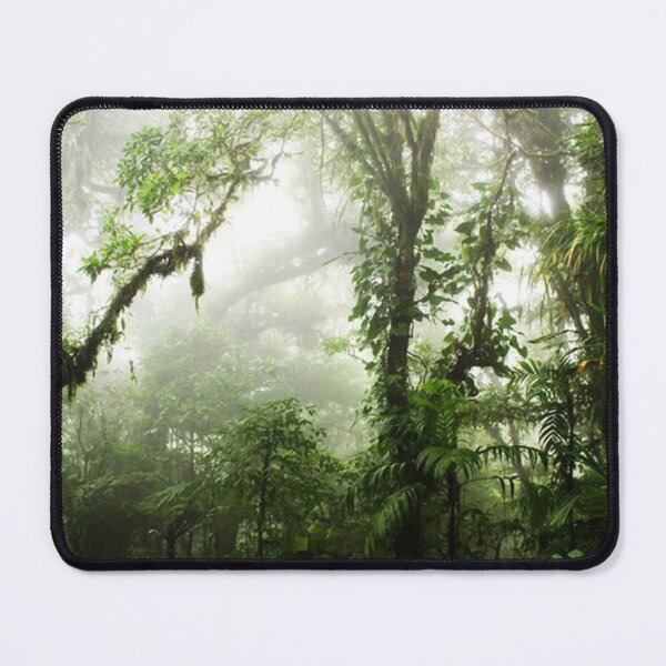 Item preview, BESTSELLER Cloud Forest designed and sold by nkoshi4.