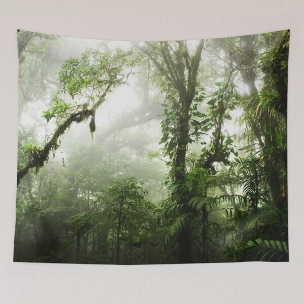 Item preview, BESTSELLER Cloud Forest designed and sold by nkoshi4.