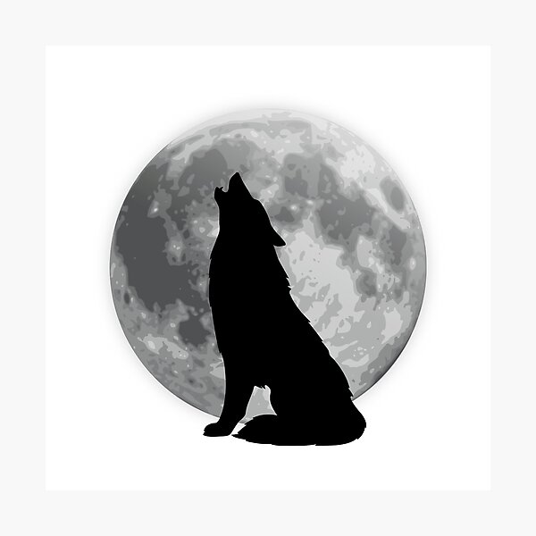 Láminas fotográficas: Perro Fondo Transparente Lobo | Redbubble