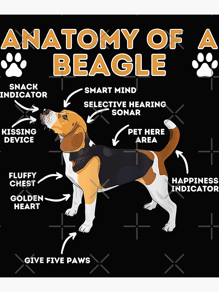 Beagle Bow Tie  Men's, Women's, Kid's & Baby's