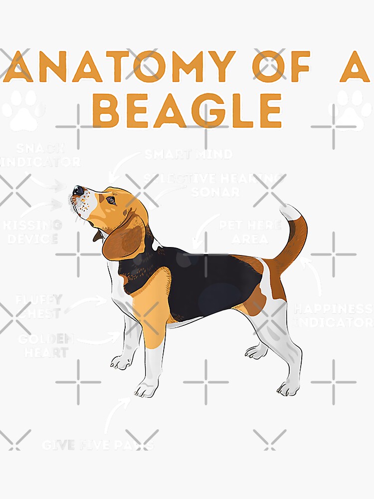 "Anatomy Of A Beagle Funny Beagle Dog Lover Pet Owner" Sticker by