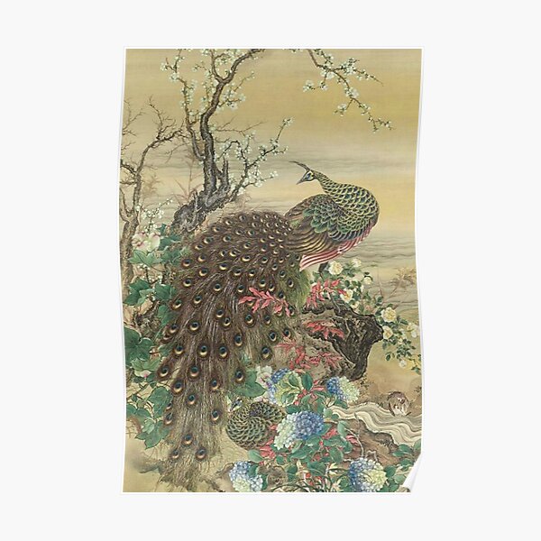 Lady Peacock Chinoiserie Poster