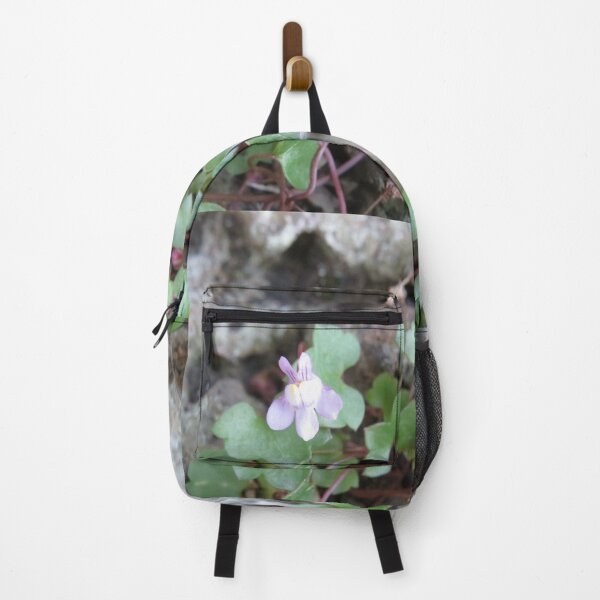 Item preview, Cymbalaria muralis designed and sold by greentiger1.