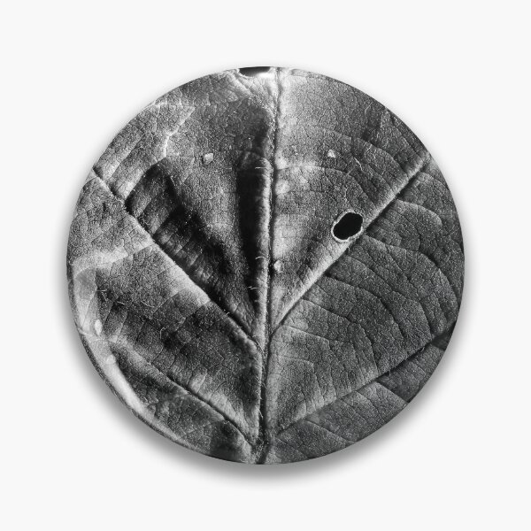 Artikelvorschau, Herbstmakros (22) entworfen und verkauft von Wolf Sverak Photography.