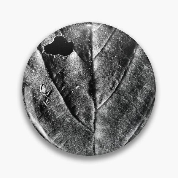 Item preview, Autumn Macros (24) designed and sold by Wolf Sverak Photography.