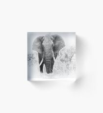 Elephant Acrylic Block