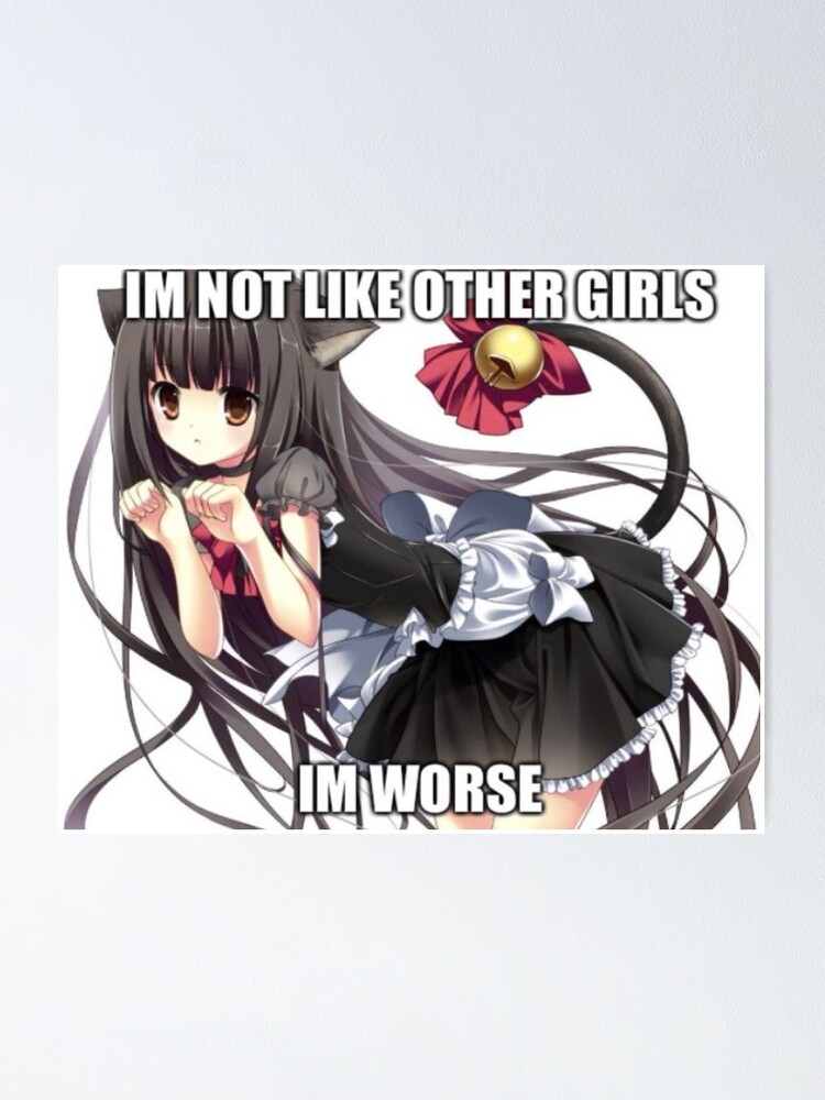 Anime Cat Girl Meme Not Like The Other Girls