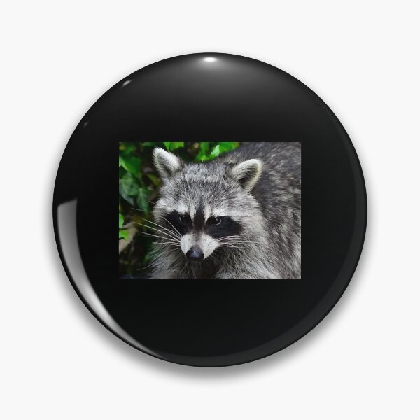 Item preview, Raccoon - Waschbaer - Raton Laveur   designed and sold by LorraineHa5965.