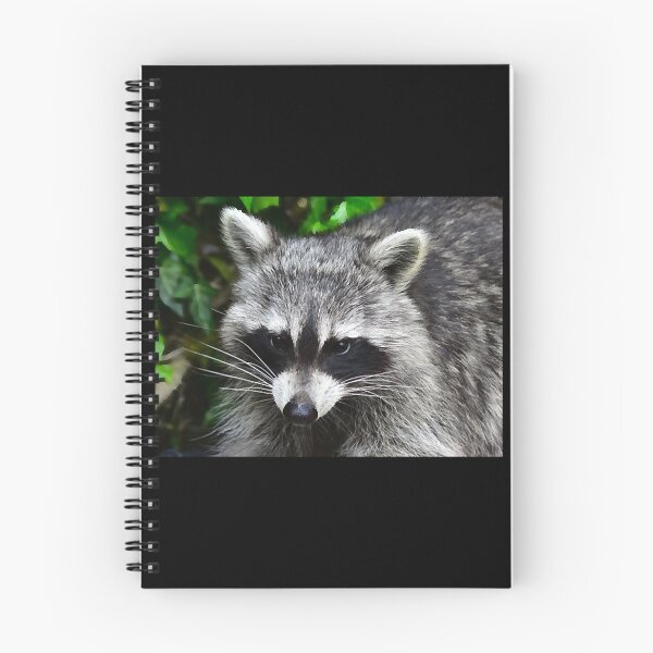 Item preview, Raccoon - Waschbaer - Raton Laveur   designed and sold by LorraineHa5965.