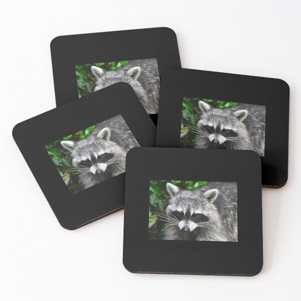Item preview, Raccoon - Waschbaer - Raton Laveur   designed and sold by LorraineHa5965.