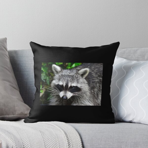 Item preview, Raccoon - Waschbaer - Raton Laveur   designed and sold by LorraineHa5965.
