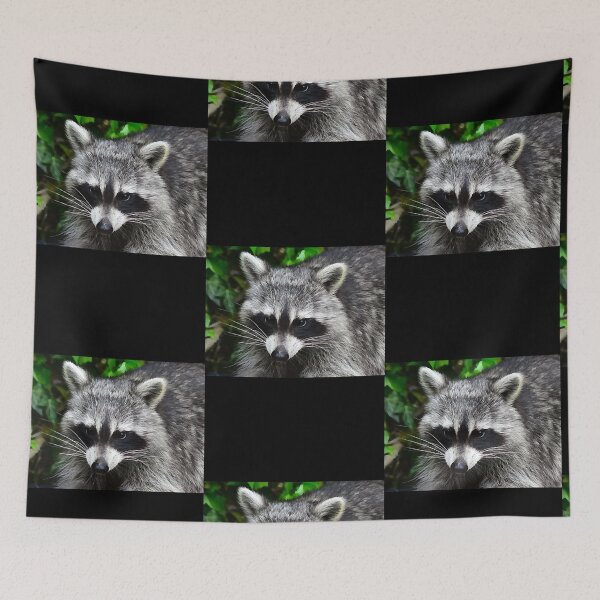 Item preview, Raccoon - Waschbaer - Raton Laveur   designed and sold by LorraineHa5965.
