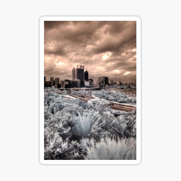 Item preview, Perth city from Kings Park IR designed and sold by BigAndRed.