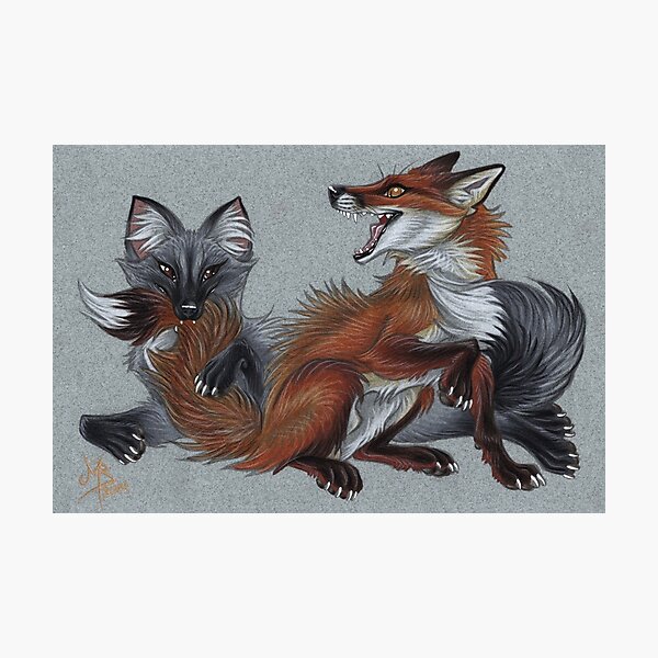 Foxies Photographic Print